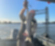 Fishing Napa River is Amazing