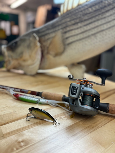 Trolling Fishing Striper Trolling Rod And Reel Combo CUSTOM STAND