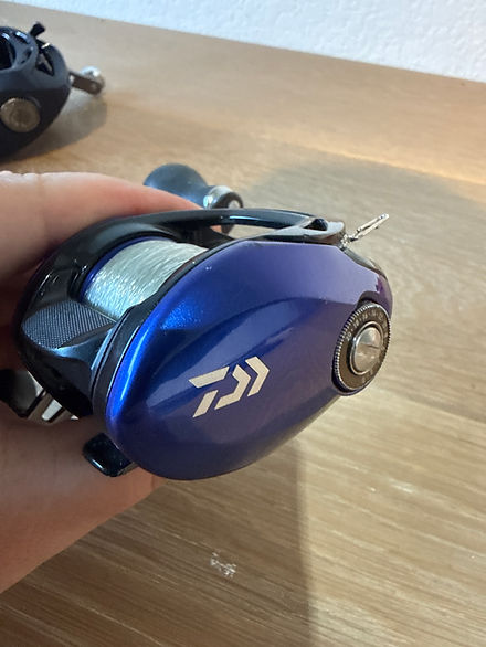 daiwa coastal sp reel TW 80 Baitcasting Reels Daiwa Coastal SP Surf Spinning