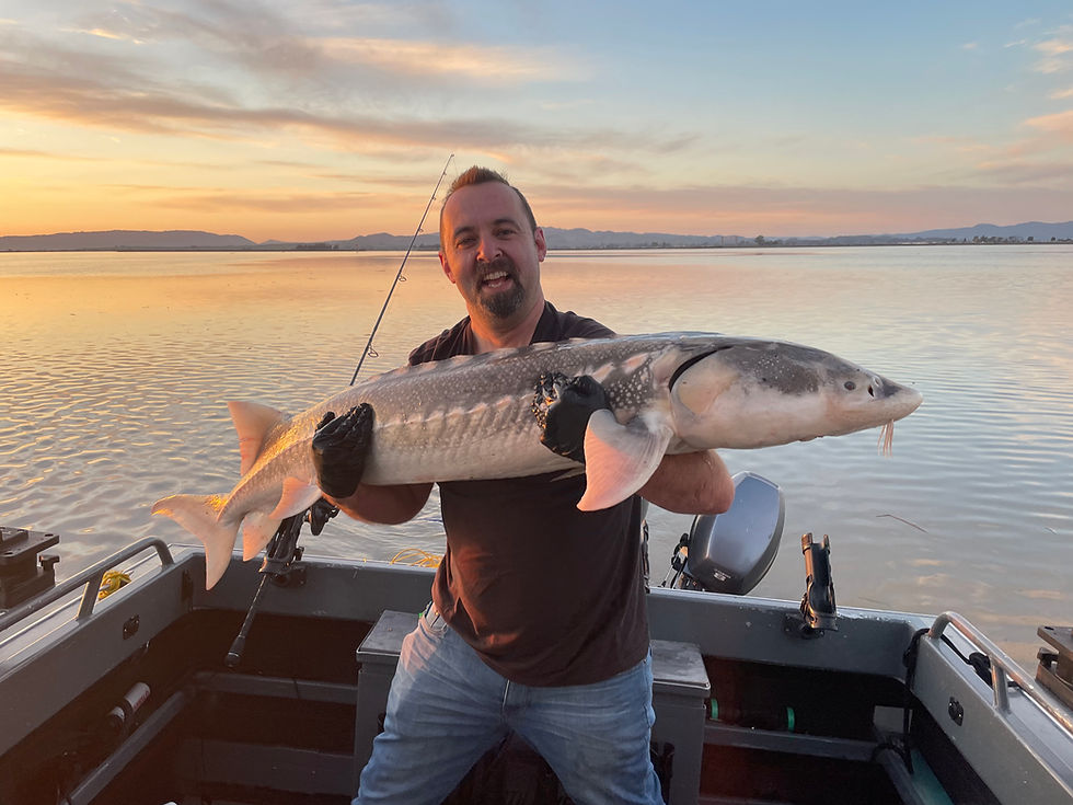 How to Catch Sturgeon: Beginner Tips That Actually Work