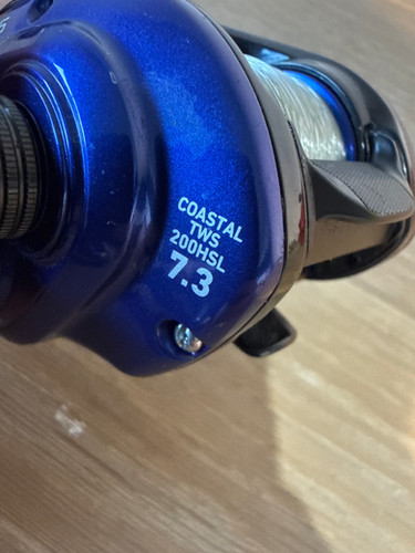 Used Daiwa Coastal TWS 200HSL Reel | Sweeney's Sports