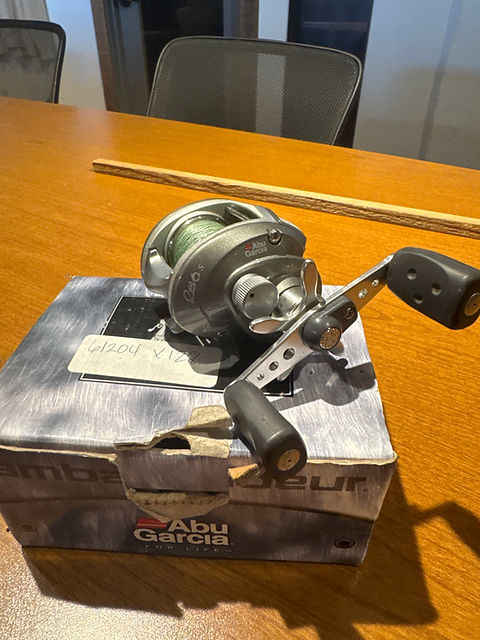daiwa saltist 30h line capacity Daiwa STTLW30LCH Saltist Levelwind Line Counter Conventional Reel