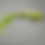 Thumbnail: Bone Collector Wild Thing Striper Trolling Lure