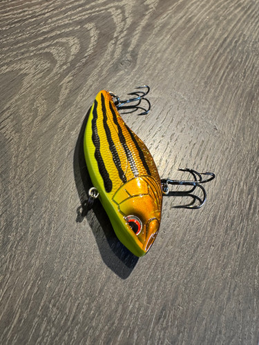 Golden Boy Zebragold Aruku Shad 75 | Striper Fishing Gear and