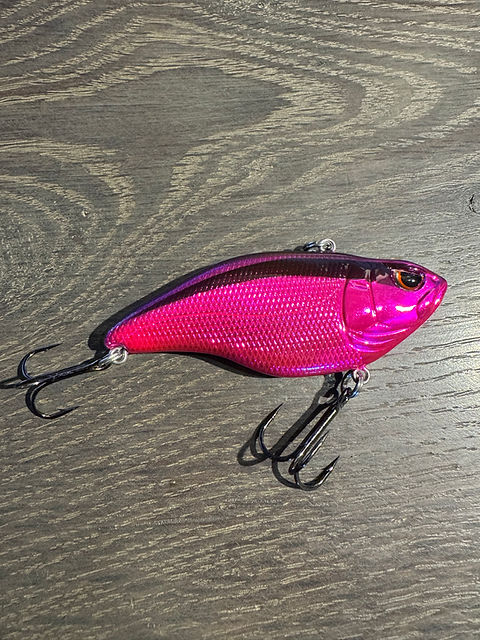 Golden Boy Evereat Magenta Aruku Shad 75 | Striper Fishing Gear Golden Boy Evereat Magenta Aruku Shad 75 | Striper Fishing Gear