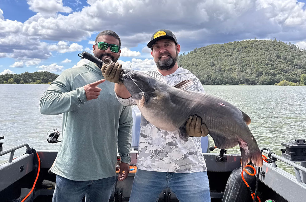 More Spots Open for Learn to Fish Day + Trophy Catfish Tactics Coming to Napa Fishing Club
