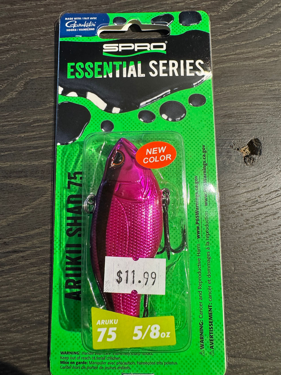 Thumbnail: Golden Boy Evereat Magenta Aruku Shad 75