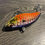 Thumbnail: Golden Boy Braveheart striper lure