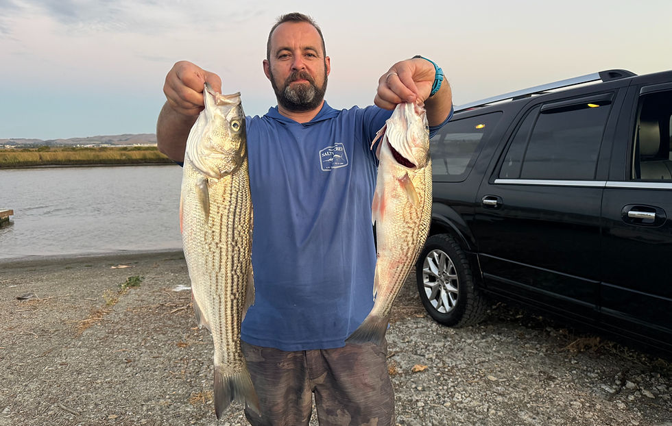 How to Troll for Stripers: A Guide to Lures, Set-Backs & Tides