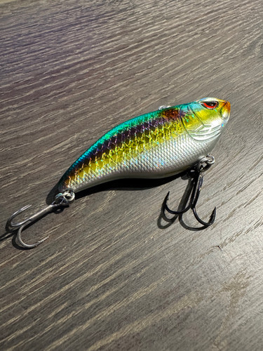 Golden Boy Emerald City Aruku Shad 75 | Striper Fishing Gear and