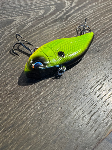 Golden Boy Evil Eye Aruku Shad 75 | Striper Fishing Gear and