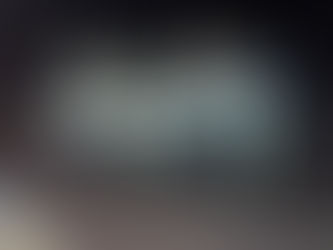 Napa River Winter Striper & Sturgeon Fishing Report