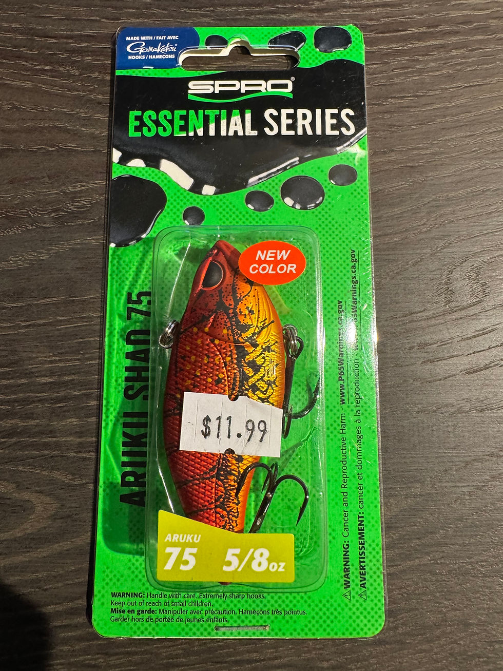 Thumbnail: Golden Boy It's a Wrap Aruku Shad 75
