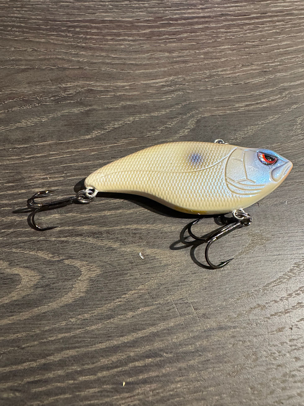 Golden Boy White Walker Aruku Shad 75 striper lure