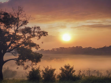 Putting God First in The Mornings