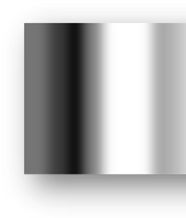 MSA R.png