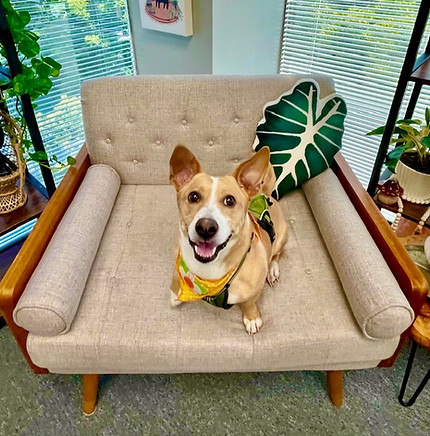 Olive Website Photo_edited.jpg