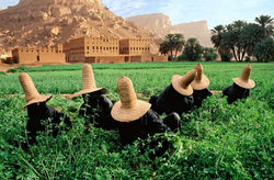 YEMEN-10009NF2