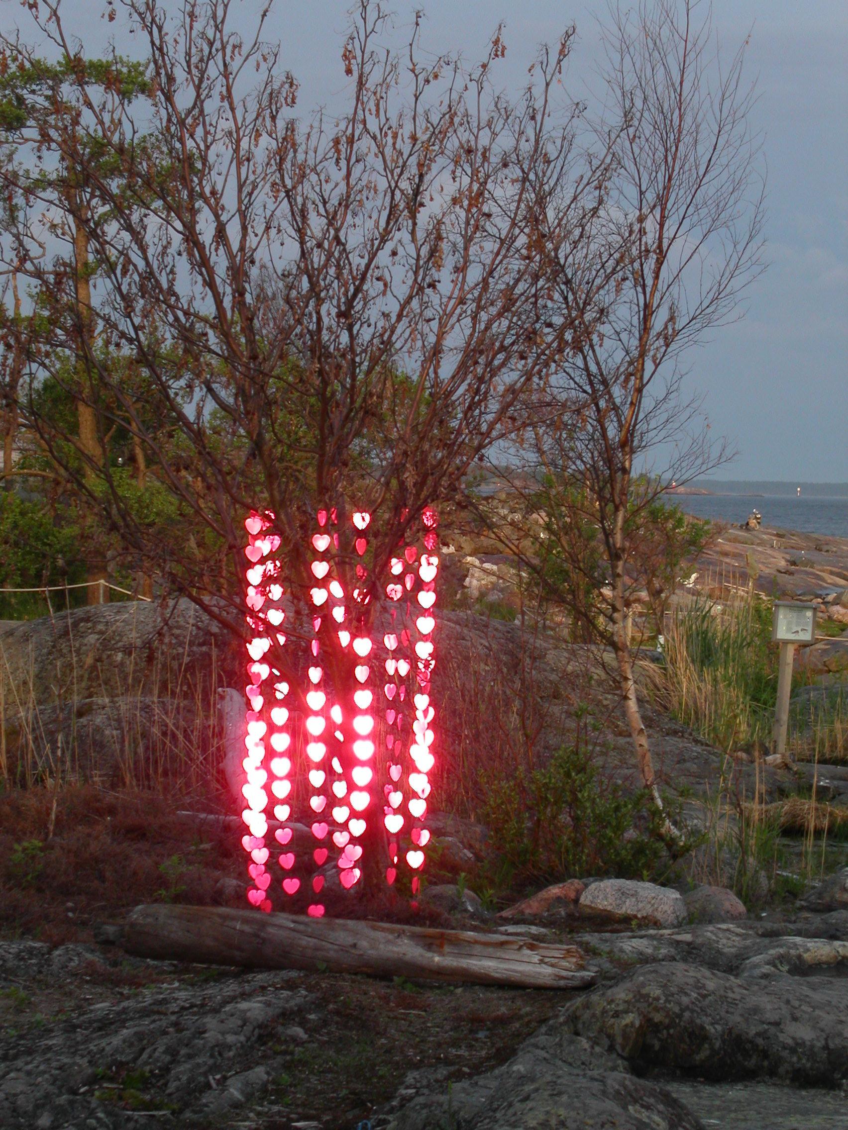 2003 Sydänpuu