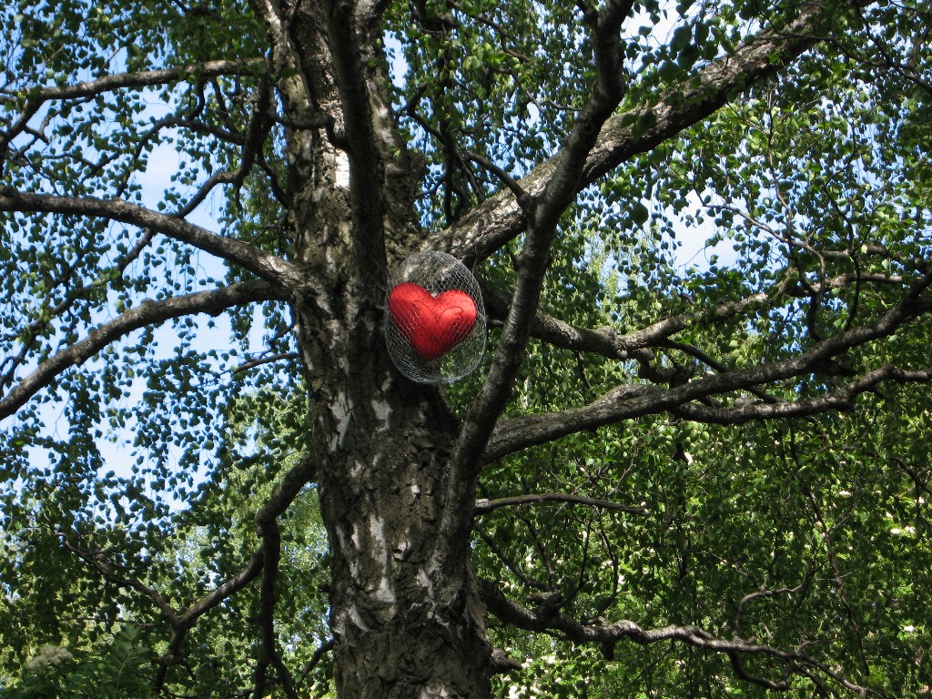 2006 Täynnä odotusta