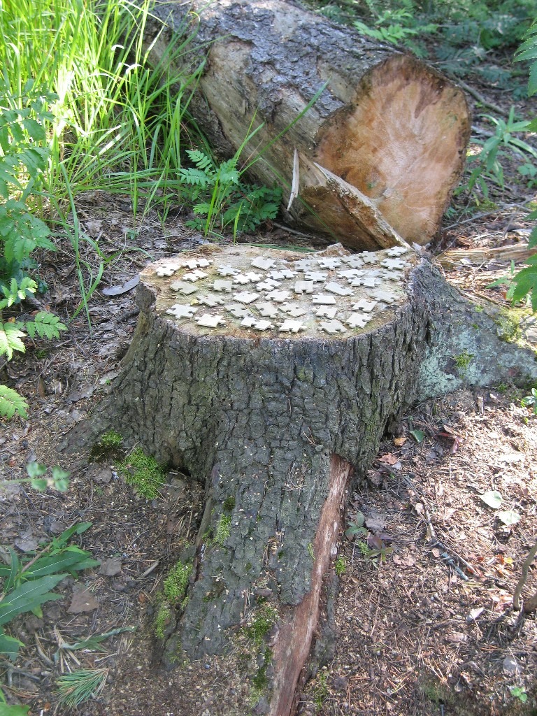 2007 Jälkipolvet