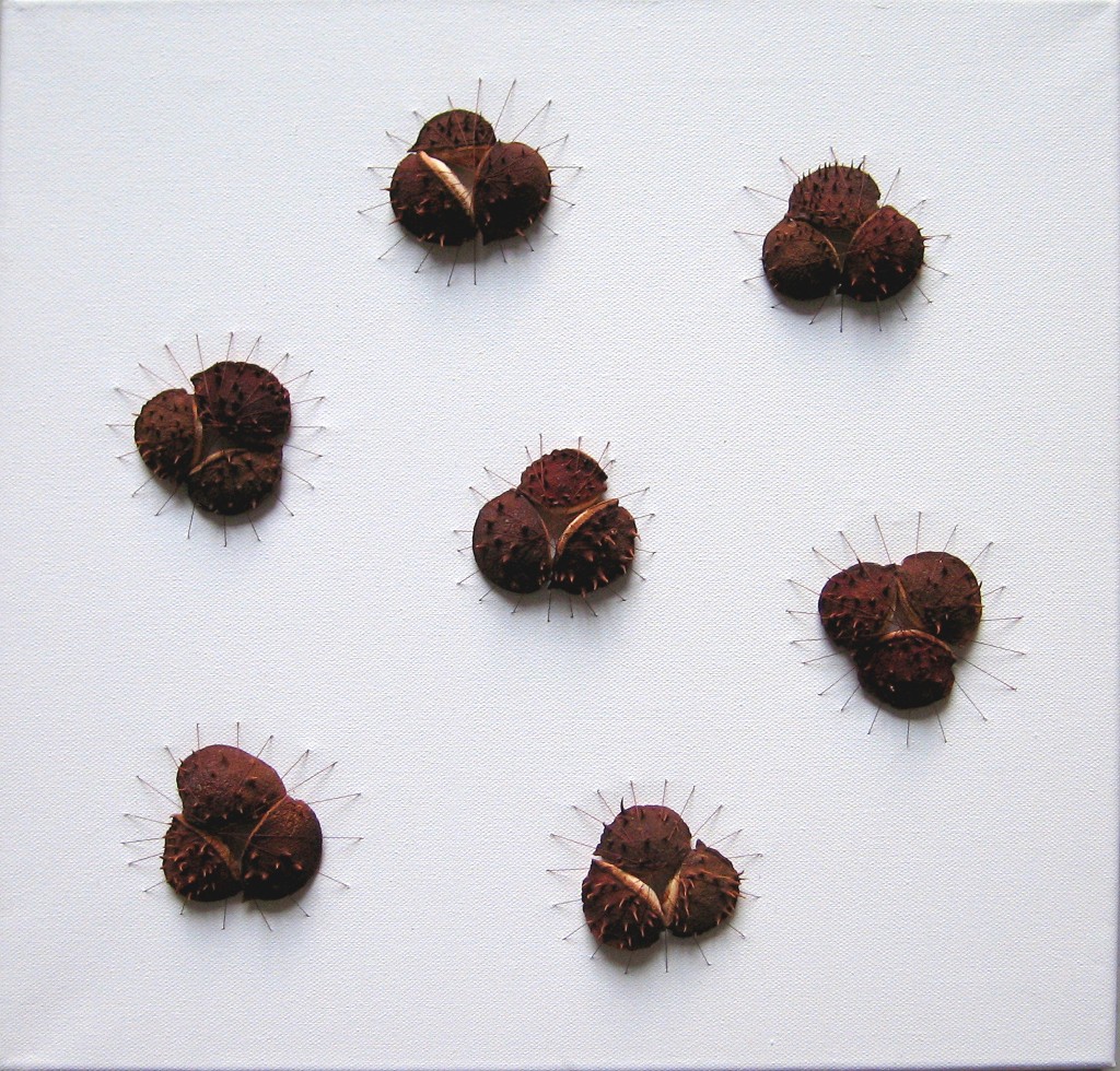 Kastanjan kuoret 2008 (40cmx40cm)