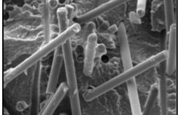 Fibra de Carbono no Brasil - Diana Finkler