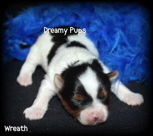 176452830623289876 (3).jpg