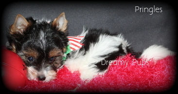 176452830623289876 (1).jpg