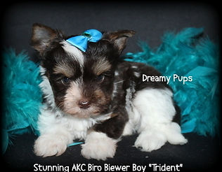 176340116393668871 (6).jpg