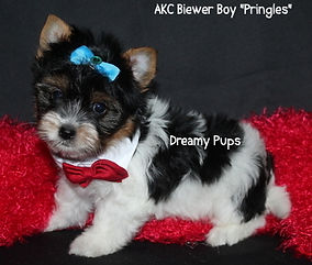 176340116393668871 (4).jpg