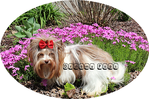 fiona2.gif