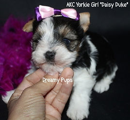 176228313625270503 (2).jpg