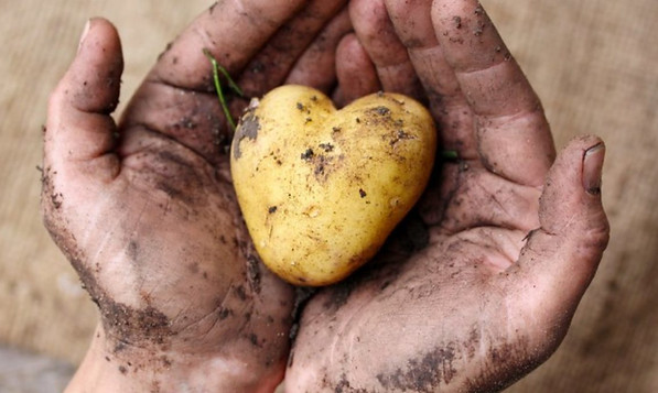 mano-patata-small-1200x675.jpg