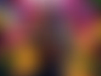 CARIBBEAN CALL OF DUTY WARZONE TOURNAMENT!