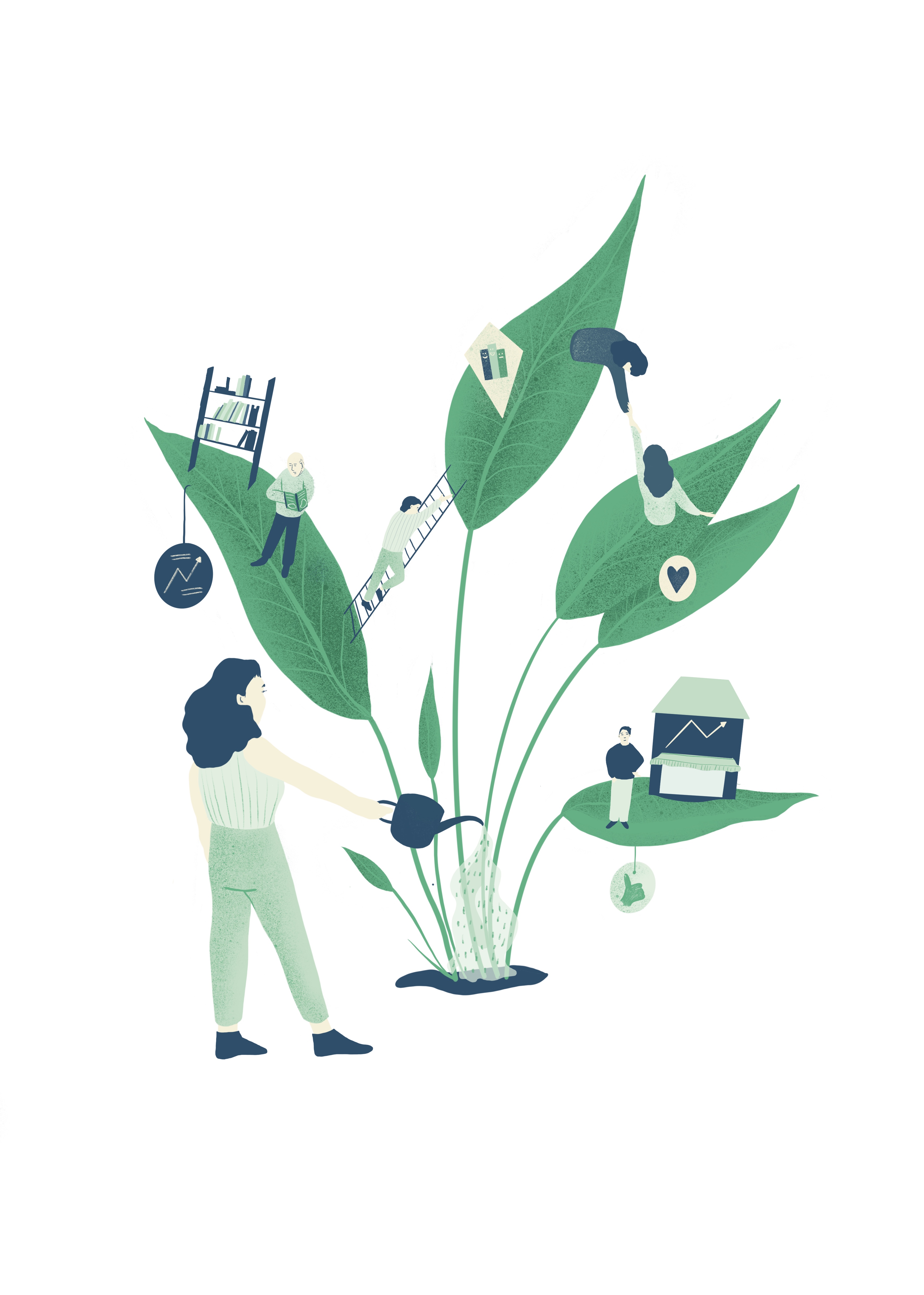 Balance HR - social entrepreneurs