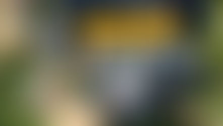 Platypod Extreme Review