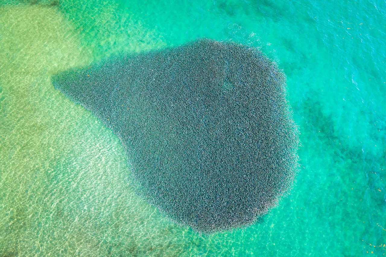 mullet run florida drone photography