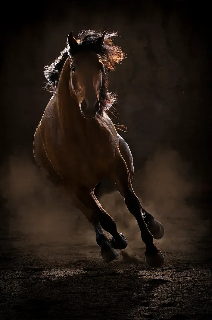 "Coming At You" © Rocky LaRose