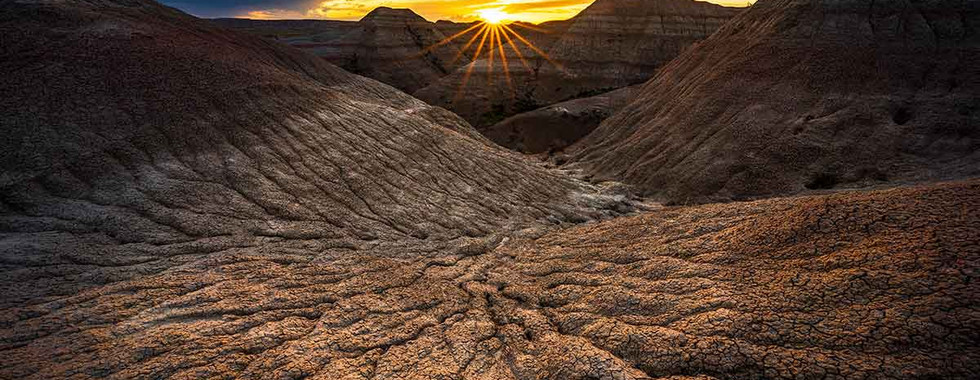 Sunstar photo by Ian Plant