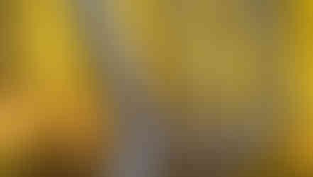 Sunstar photo by Kurt Budliger