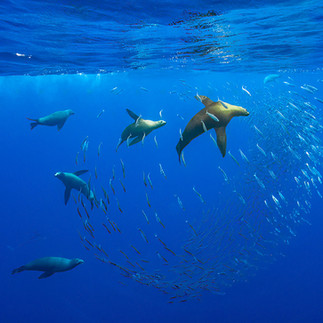 photography resolution tips for 2026