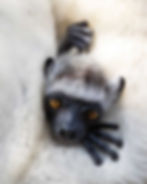 best of 2024 contest winners