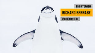 Richard Bernabe Interview