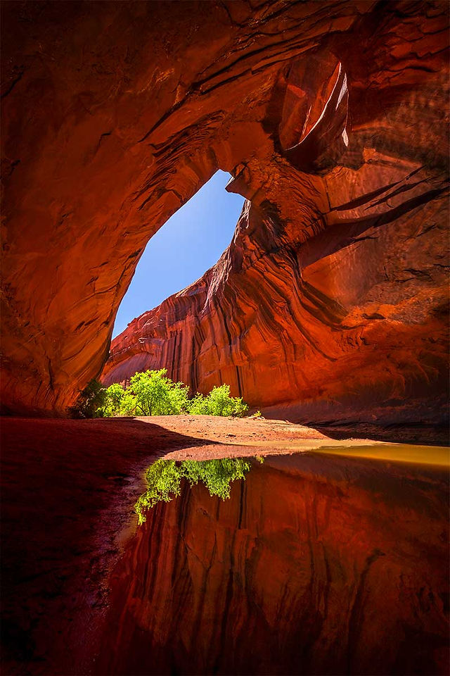 ian plant photographer interview