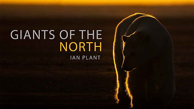 Giants-of-the-North---Monograph-1.jpg