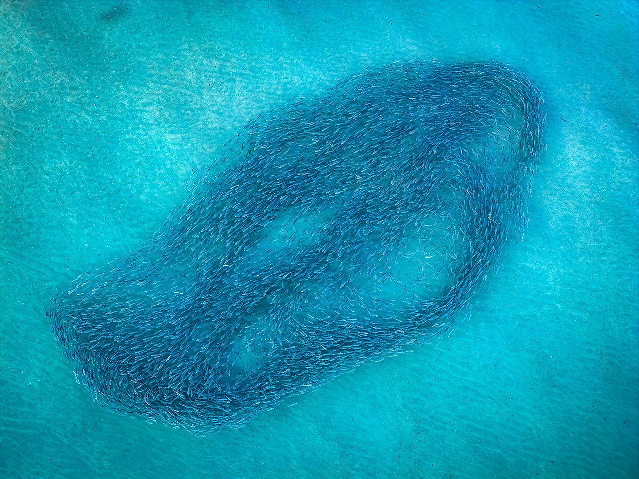 mullet run florida drone photography