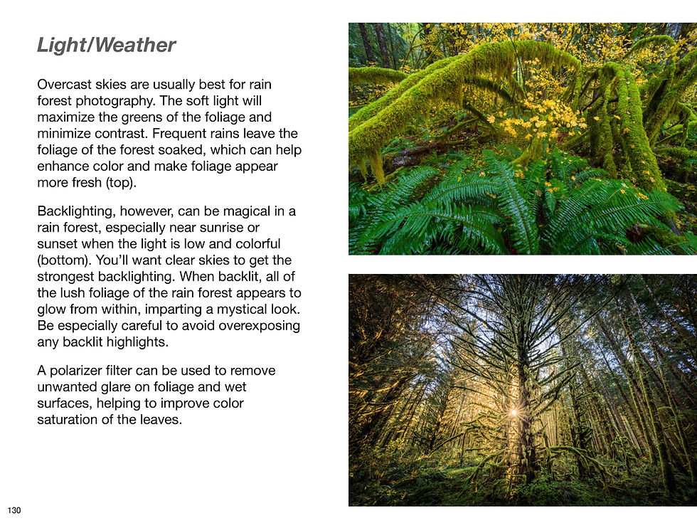 Thumbnail: Landscape Photography Recipe Book