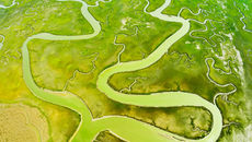 Taking a Photo From Idea to Implementation