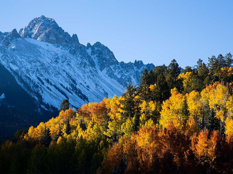 How to Take Incredible Fall Photos